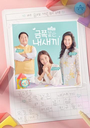 금쪽같은 내새끼 포스터