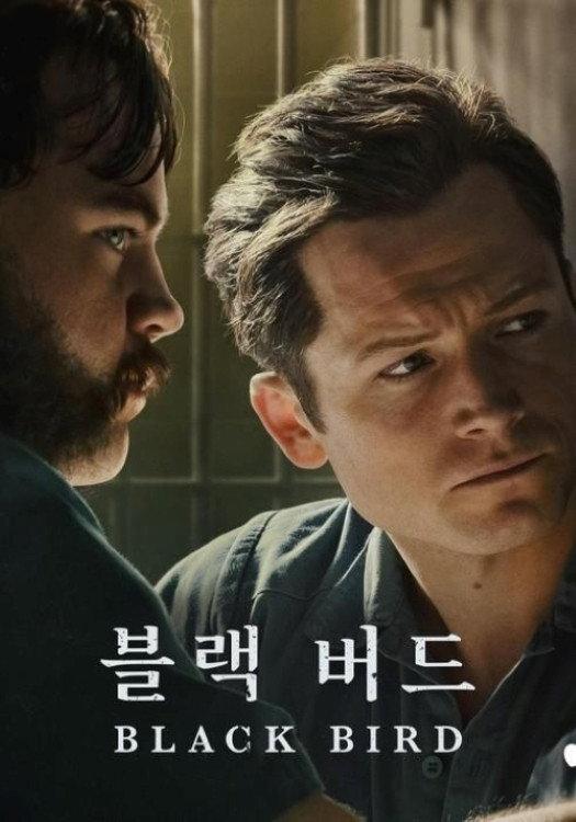 블랙 버드 포스터